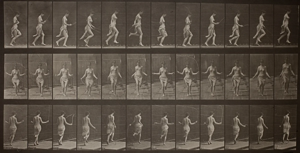 Animal Locomotion, Plate 174 by Eadweard Muybridge, photograph, 1887