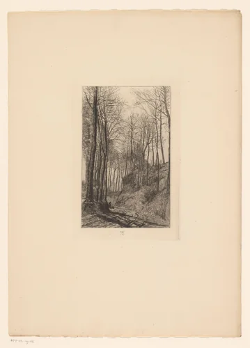 Landweg langs heuvels met bomen by Karel Theodoor Hippert, print, 1873
