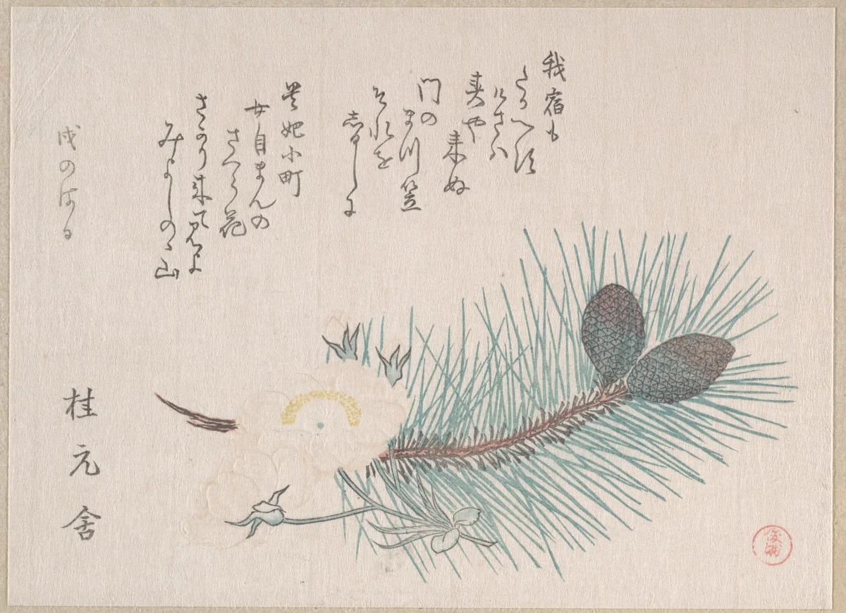 Pines and Cherry Blossoms by Kubo Shunman (窪俊満), print, 1814