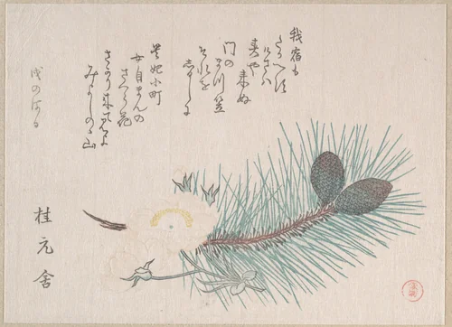 Pines and Cherry Blossoms by Kubo Shunman (窪俊満), print, 1814