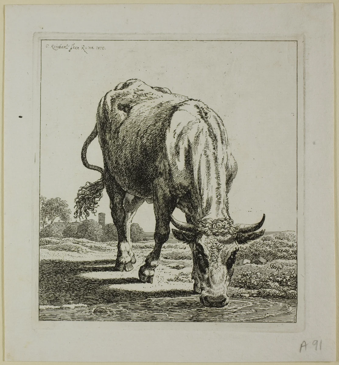 Cow Drinking, from Die Zweite Thierfolge by Johann Christian Reinhart, print, 1800