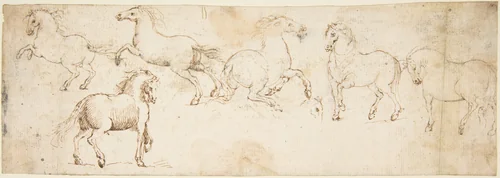 Horses by Francesco Allegrini, drawing, 1624-1663
