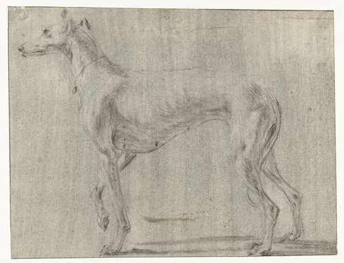 Een staande hond, van opzij gezien by Frans Snijders, drawing, 1589-1657
