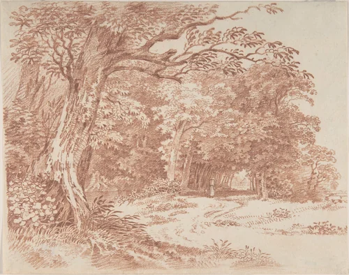 Wooded Landscape by Friedrich August Brand, drawing, 1755-1806