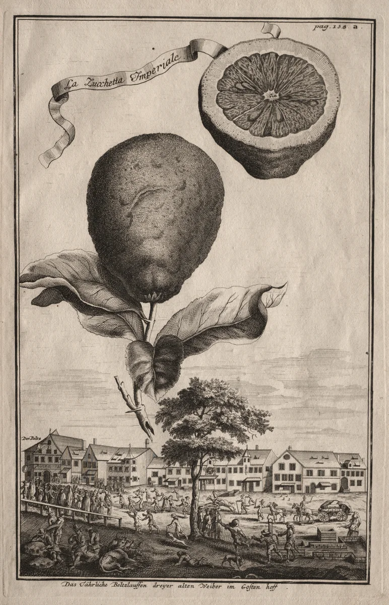 Nurnbergische Hesperides: La Luchetta Imoperiale by Joseph de Montalegre, print, 1714