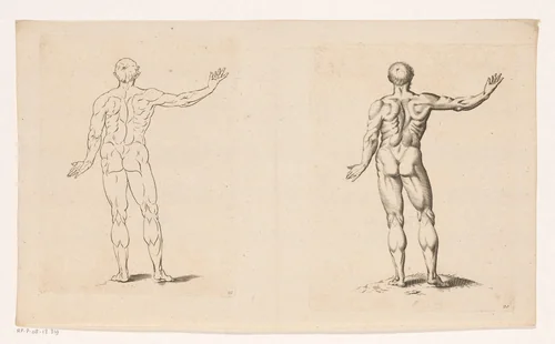Staande naakte man op de rug gezien by anonymous, print, 1645-1706