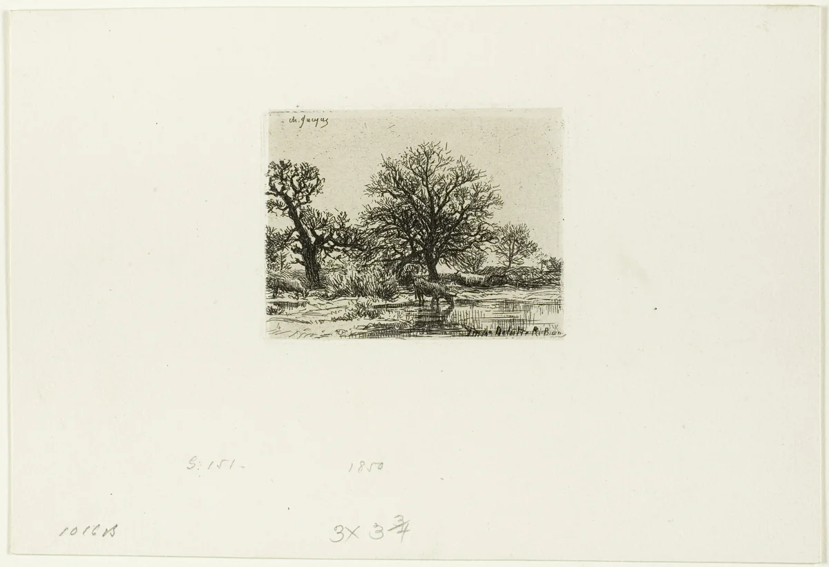 Trees and Cows near a Pond by Charles-Émile Jacque, print, 1850