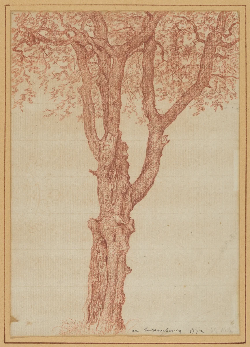 Study of a Tree in the Luxembourg Gardens by Pierre Henri de Valenciennes, drawing, 1773