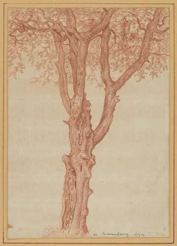 Study of a Tree in the Luxembourg Gardens by Pierre Henri de Valenciennes, drawing, 1773