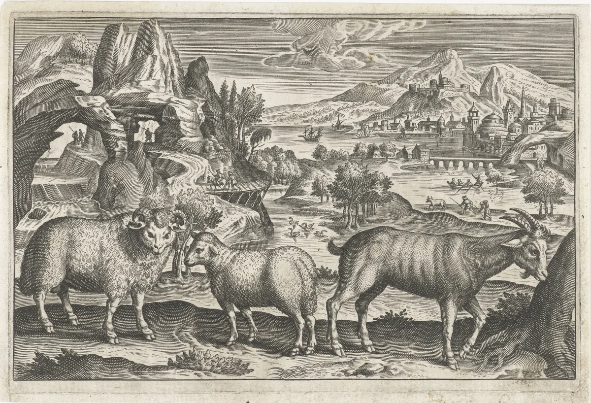 Bok en schapen by anonymous, print, 1595-1652