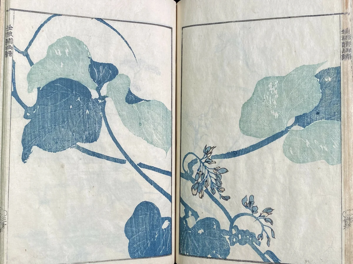 Kinpaengafu by Kawamura Bumpo, artwork, 1615-1868