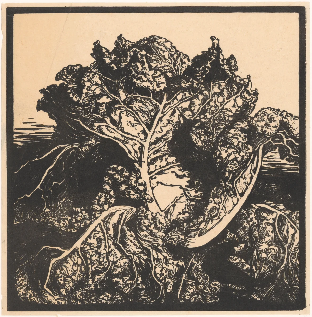 Drie naaktslakken op een kool by Julie de Graag, print, 1887-1924