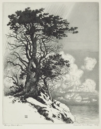 Coast at Monterey, California by George Elbert Burr, print, 1920-1930
