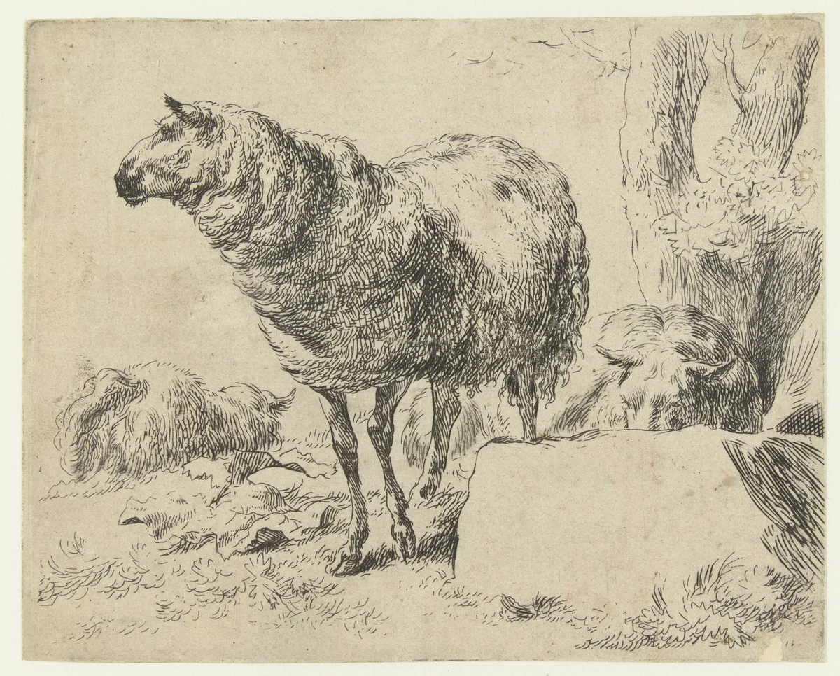 Drie schapen by Nicolaes Pietersz Berchem, print, 1648-1652