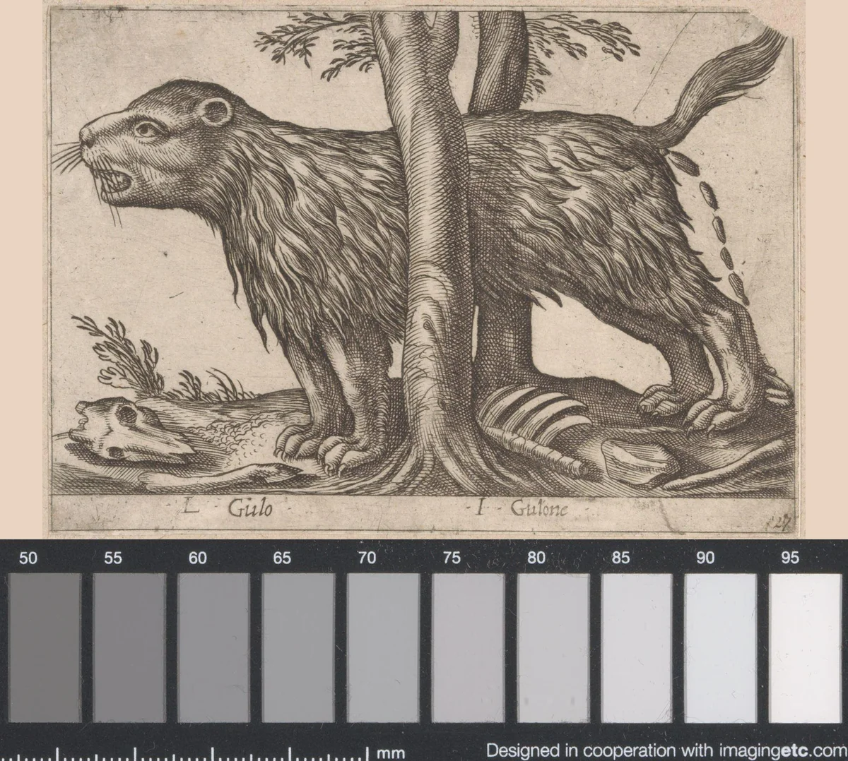 Groot knaagdier by Antonio Tempesta, print, 1565-1630