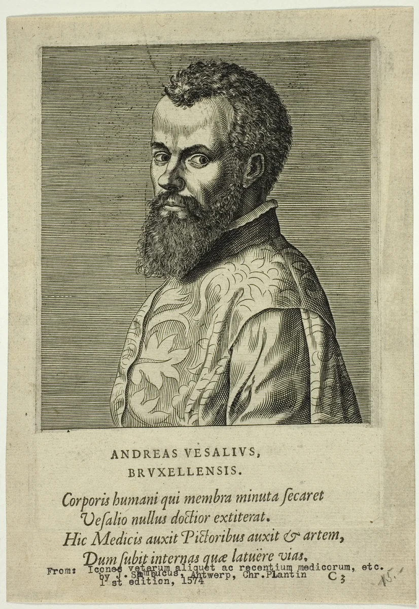 Portrait of Doctor Andreas Vesalius of Brussels by Unknown Artist, print, 1574