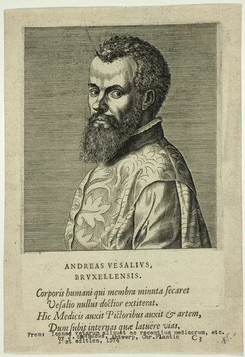 Portrait of Doctor Andreas Vesalius of Brussels by Unknown Artist, print, 1574