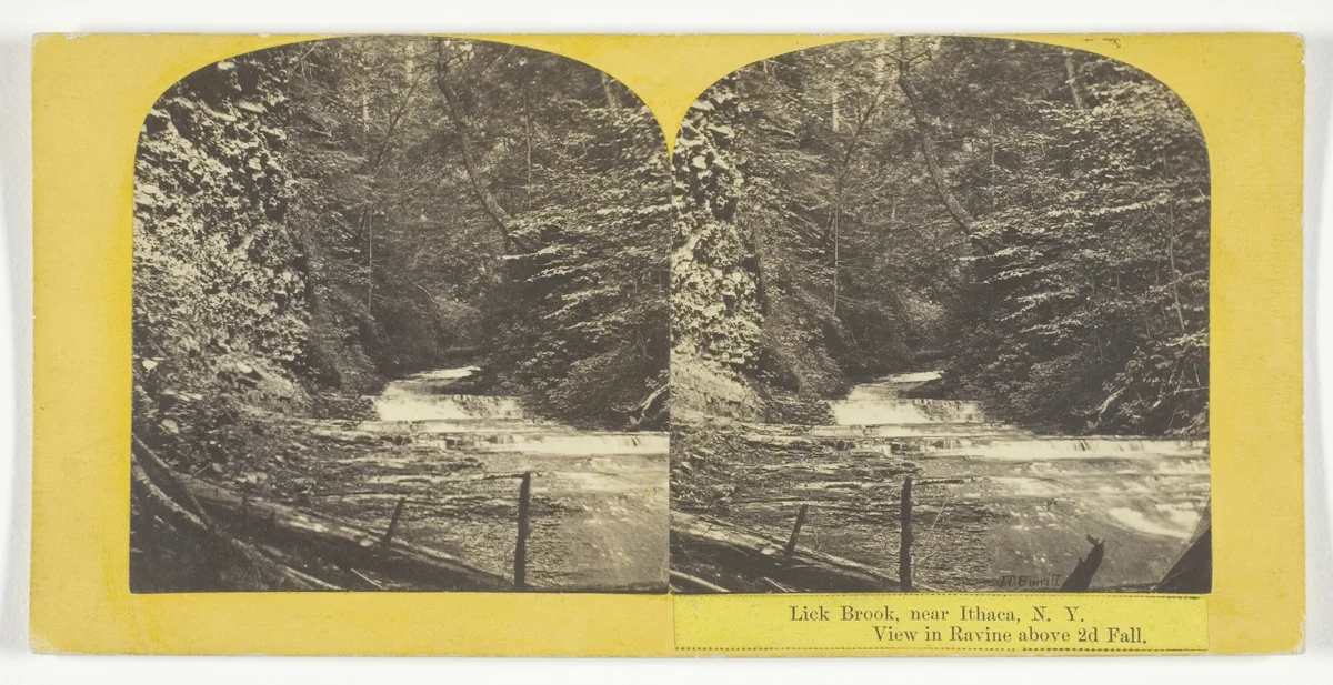 Lick Brook, near Ithaca, N.Y. View in Ravine above 2d Fall by J. C. Burritt, photograph, 1860-1865
