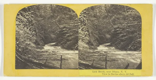Lick Brook, near Ithaca, N.Y. View in Ravine above 2d Fall by J. C. Burritt, photograph, 1860-1865