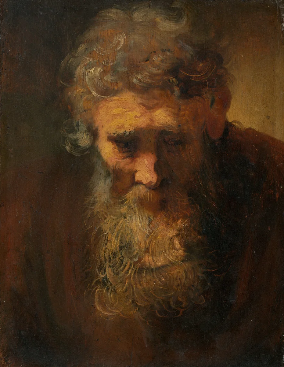 Study of an Old Man by Rembrandt van Rijn, painting, 1650-1699