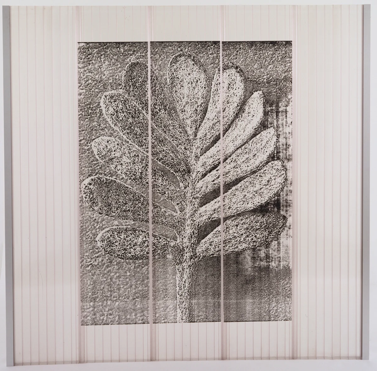 Facade Panel from the Ricola Europe Factory and Storage Building, Mulhouse-Brunnstatt, France by Jacques Herzog
Pierre de Meuron
Karl Blossfeldt, architecture, 1992