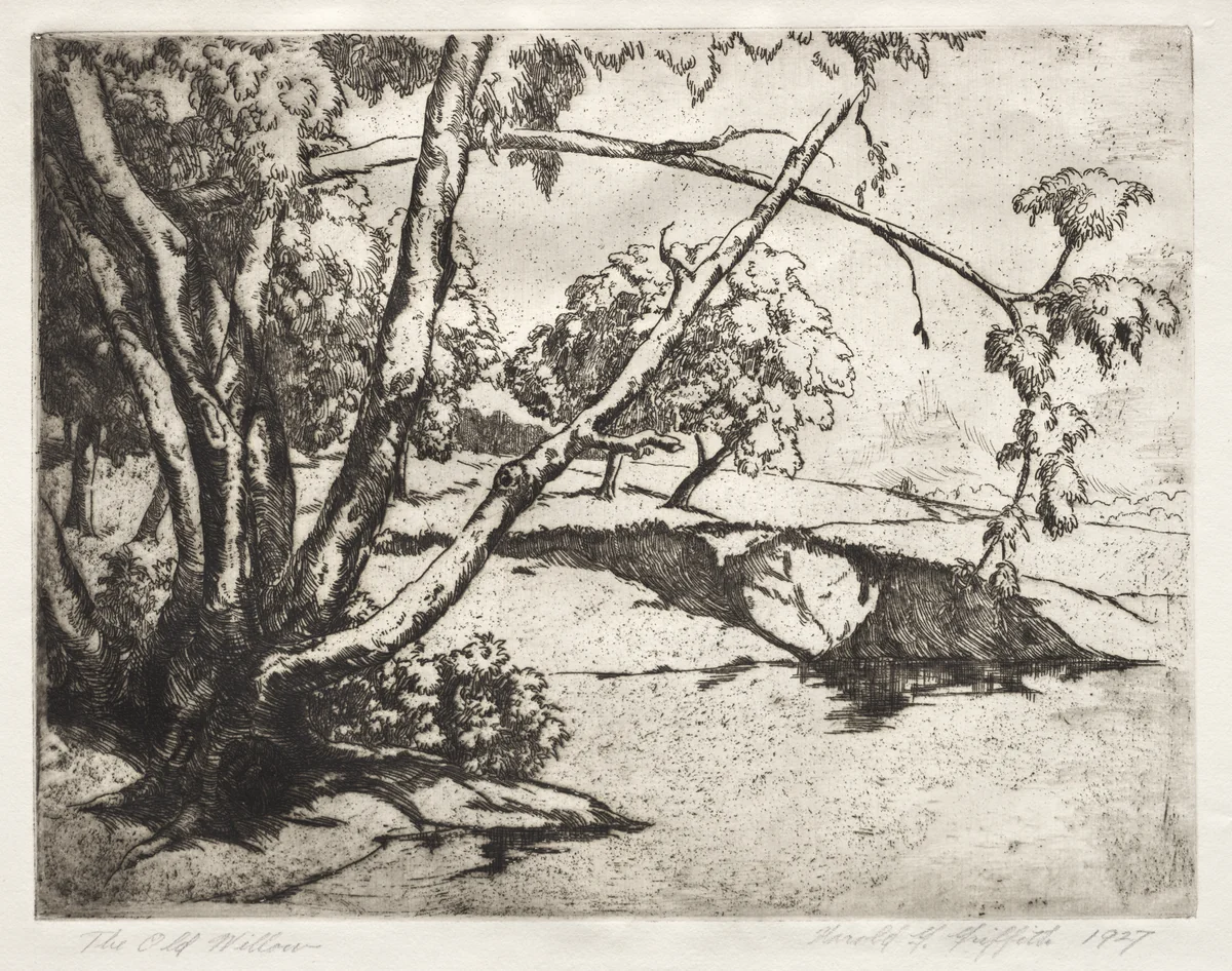 The Old Willow by Harold Griffith, print, 1927