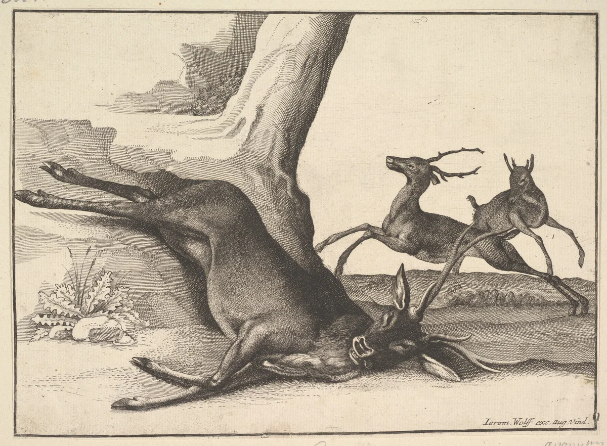 A dead stag (anonymous copy) by Wenceslaus Hollar, print, 1647-1700