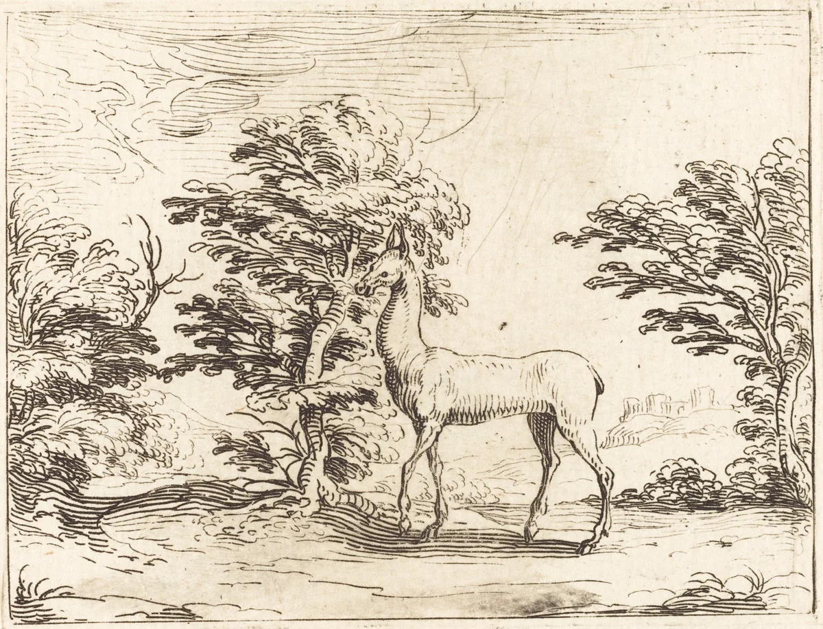The Doe by Jacques Callot, print, 1592-1635