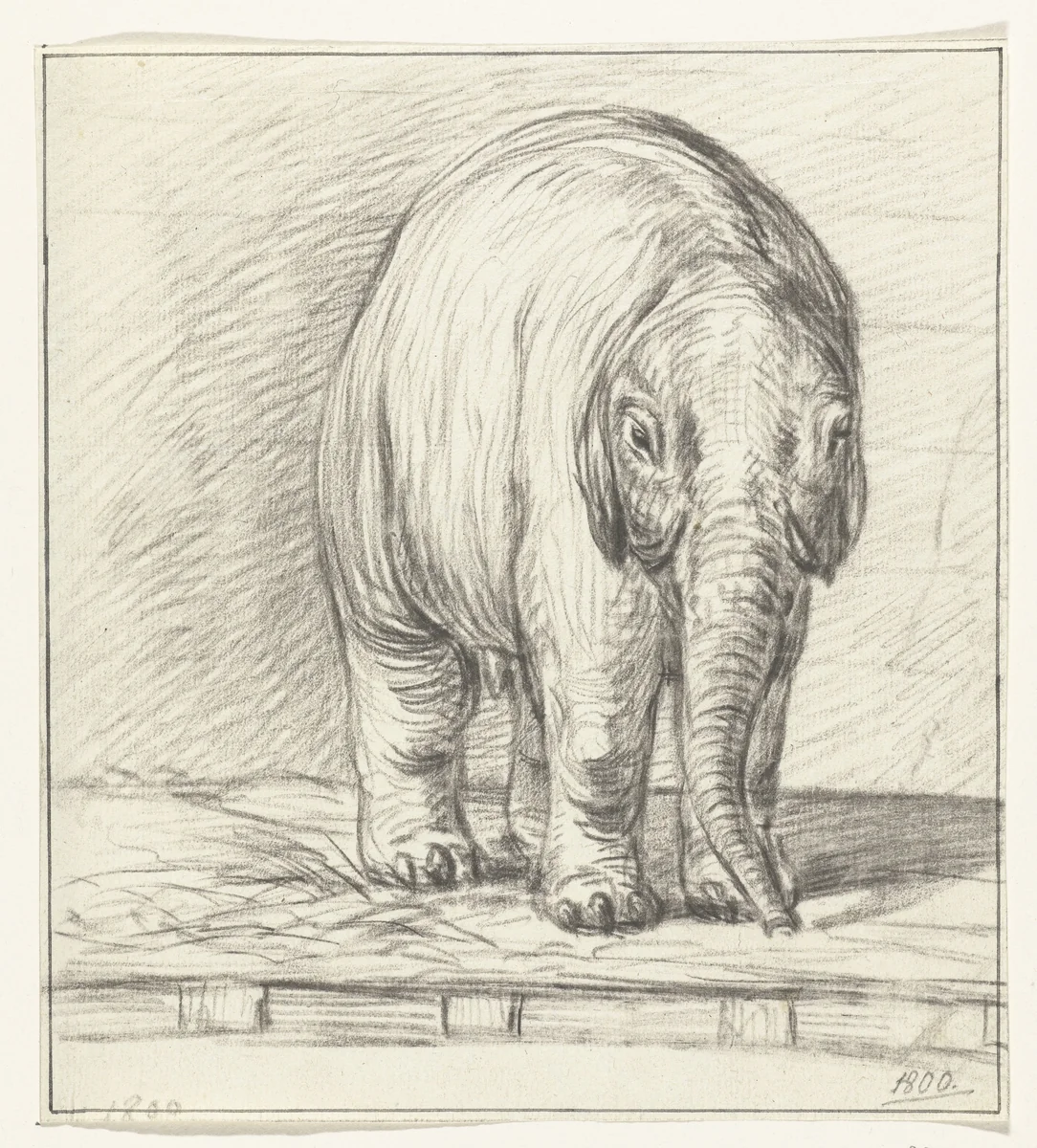 Staande olifant by Jean Bernard, drawing, 1800