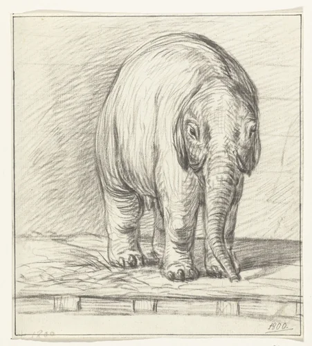 Staande olifant by Jean Bernard, drawing, 1800