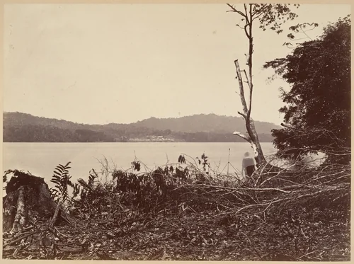 Tropical Scenery, Darien Harbor, Chipigana by John Moran, photograph, 1871