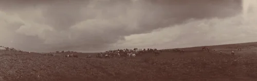 Cavalry, Not in Formation, Ropsha by Unidentified Photographer, photograph, 1907