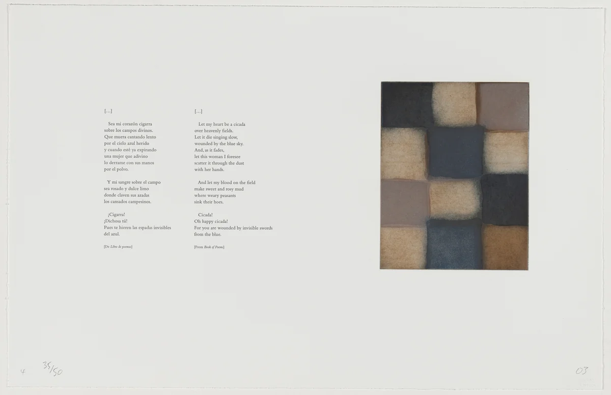 [...] by Sean Scully, portfolio, 2003