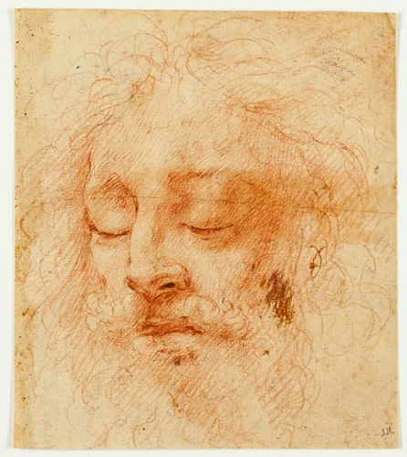 Head of a Sleeping Man by Correggio, drawing, 1494-1534