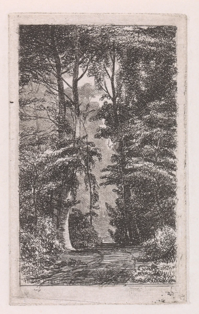 Boslaan by Jacob Jan van der Maaten, print, 1830-1879