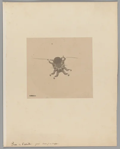 Pou du l’abeille [Bee Stinger] by Auguste-Adolphe Bertsch, photograph, 1853-1857