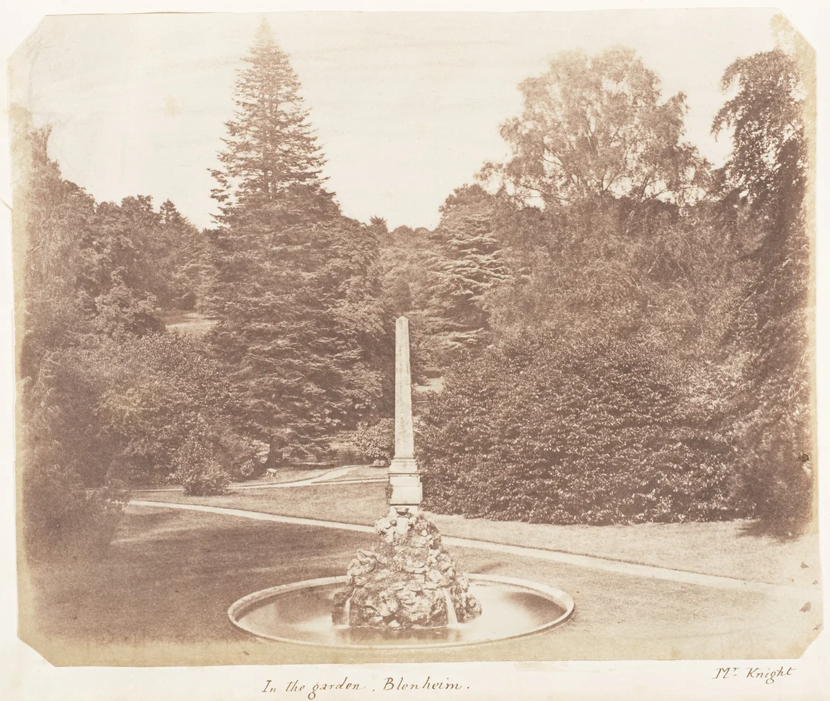 In the Garden. Blenheim by James Knight, photograph, 1853-1856