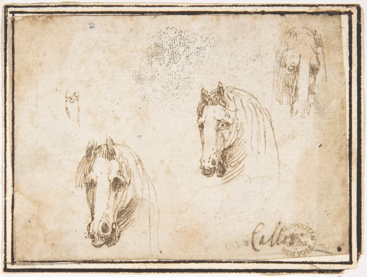 Horses' Heads by Francesco Allegrini, drawing, 1624-1663