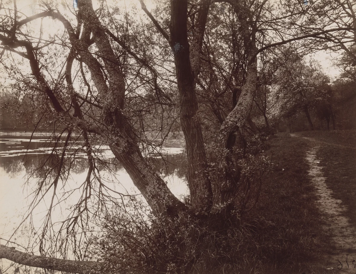 Ville-d'Avray by Eugène Atget, photograph, 1923