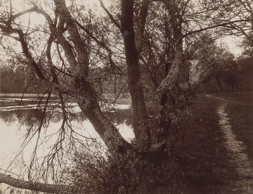 Ville-d'Avray by Eugène Atget, photograph, 1923