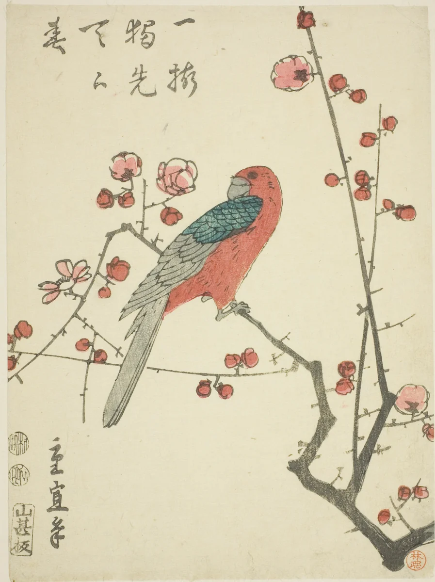 Parrot on plum branch by Utagawa Hiroshige II (二代目歌川広重), print, 1843-1857