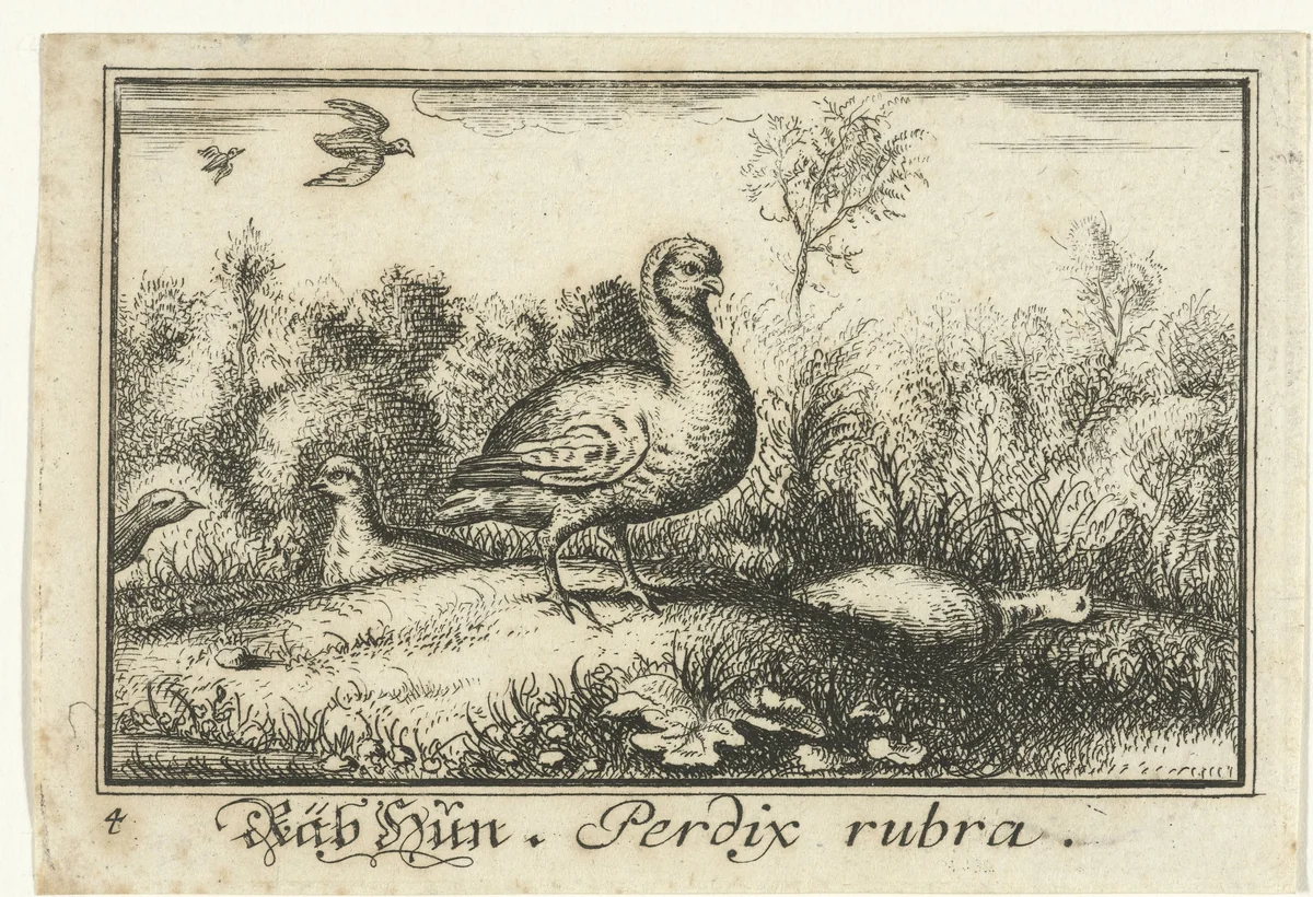 Landschap met patrijzen by anonymous, print, 1659-1741