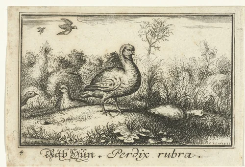 Landschap met patrijzen by anonymous, print, 1659-1741