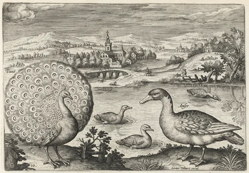 Peacock and Goose by Adriaen Collaert, print, 1595-1605
