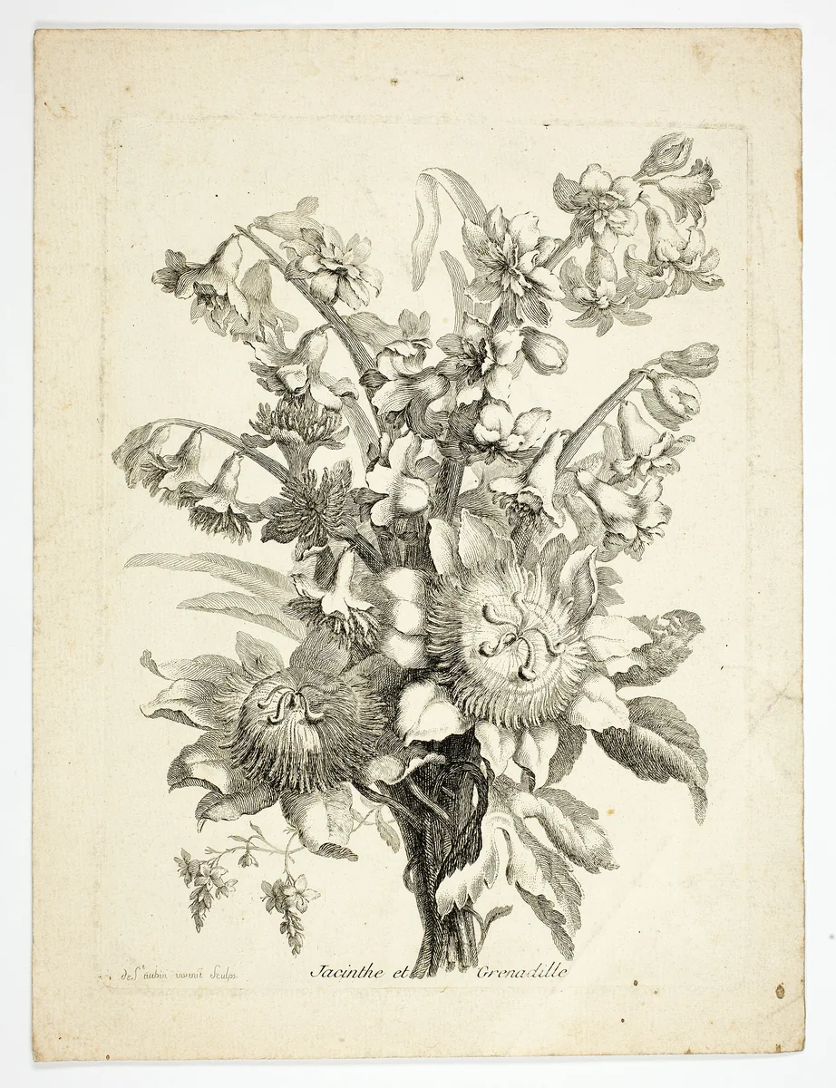 Hyacinthe and Passion Fruit Flower, plate two from Mes Petits Bouquets by Charles Germain de Saint-Aubin, print, 1741-1786