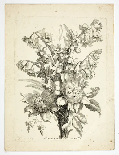 Hyacinthe and Passion Fruit Flower, plate two from Mes Petits Bouquets by Charles Germain de Saint-Aubin, print, 1741-1786