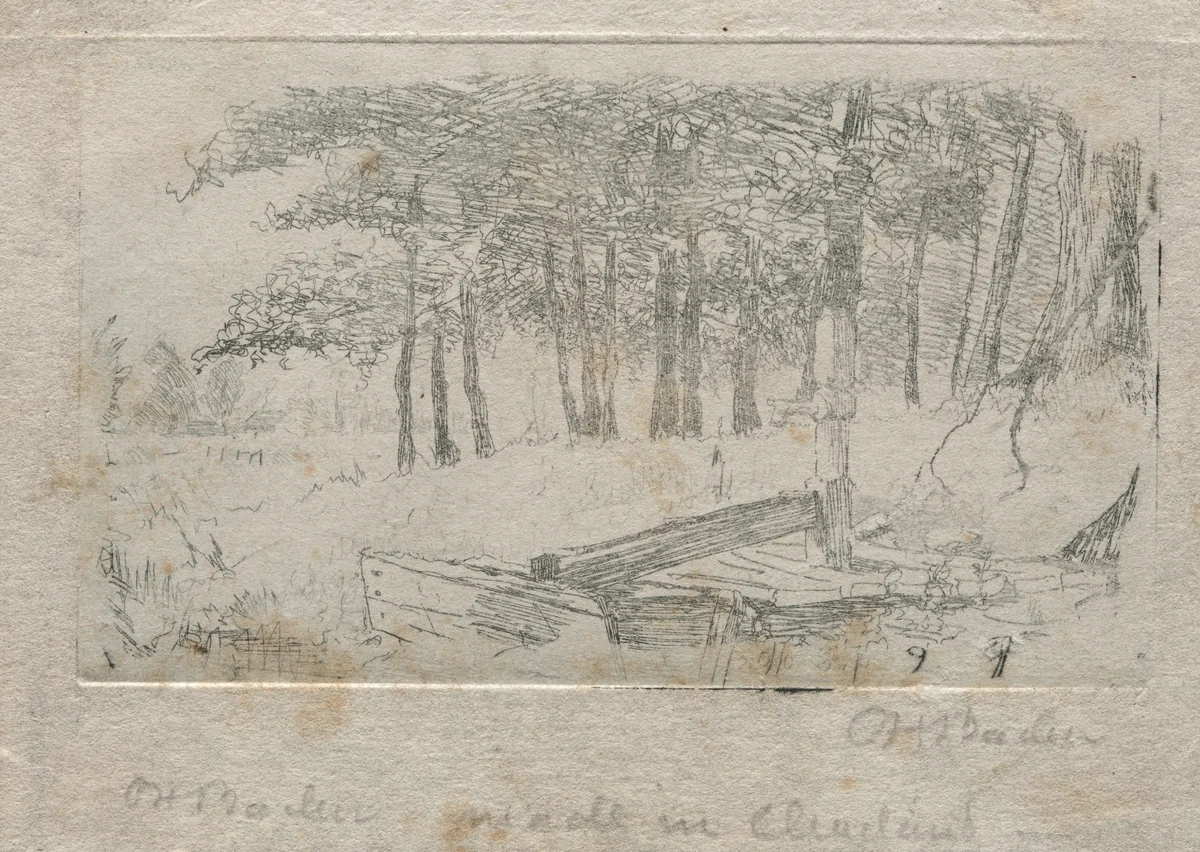 Sketch from Nature by Otto H. Bacher, print, 1879