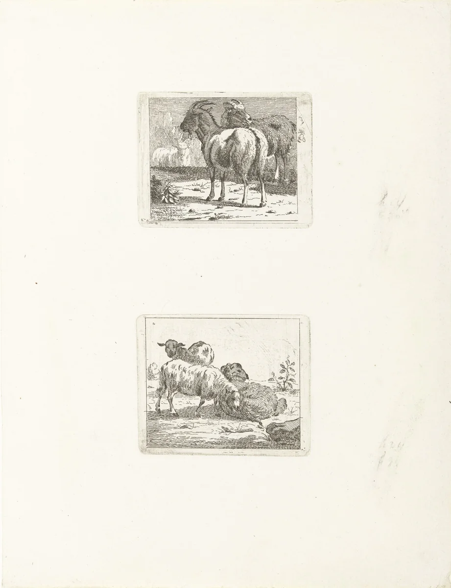 Twee voorstellingen met schapen en geiten by Jan Matthias Cok, print, 1735-1771