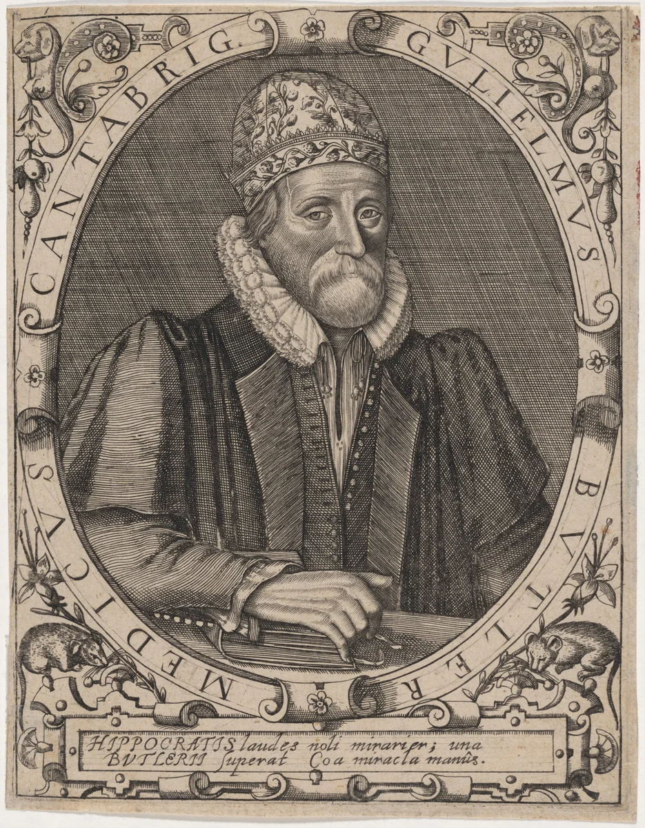Dr. William Butler by Unknown 19th Century, print, 1650