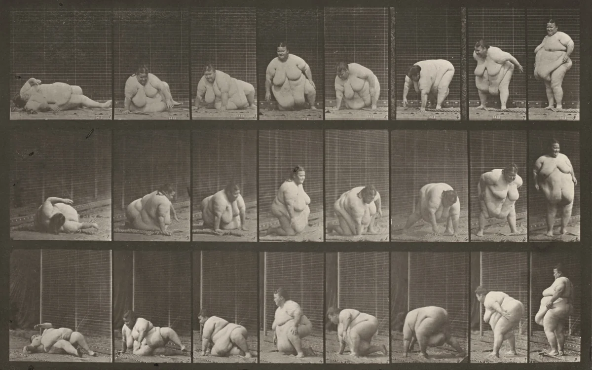 Plate Number 268. Arising from the ground by Eadweard Muybridge, photograph, 1887